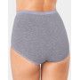 Maxi briefs Basic + (Pack of 4) grey
